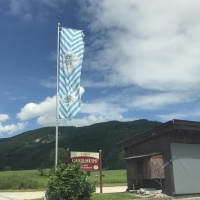 Tom’s Guglhupf Foto 1