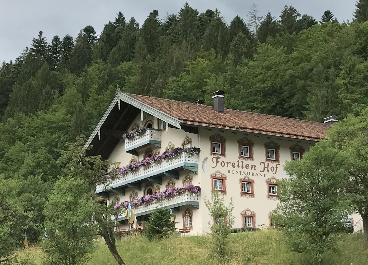 Forellenhof Eisenärzt