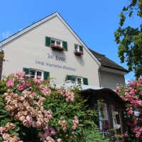 Inselhotel zur Linde Foto 4