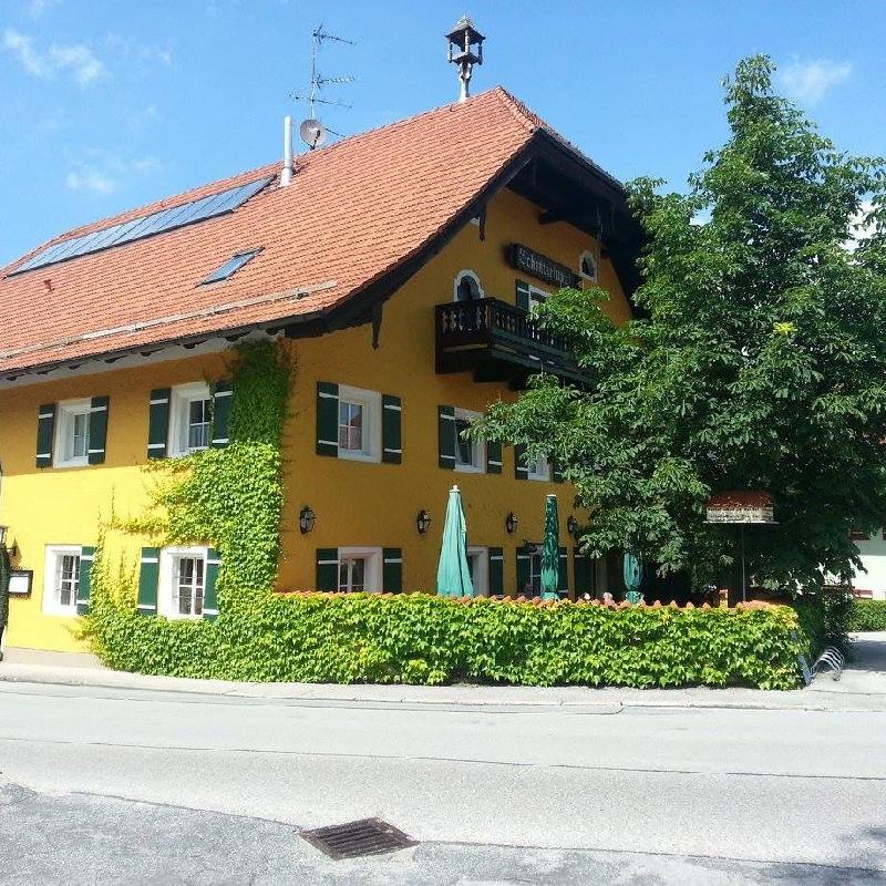 Altwirt der Schnitzelwirt